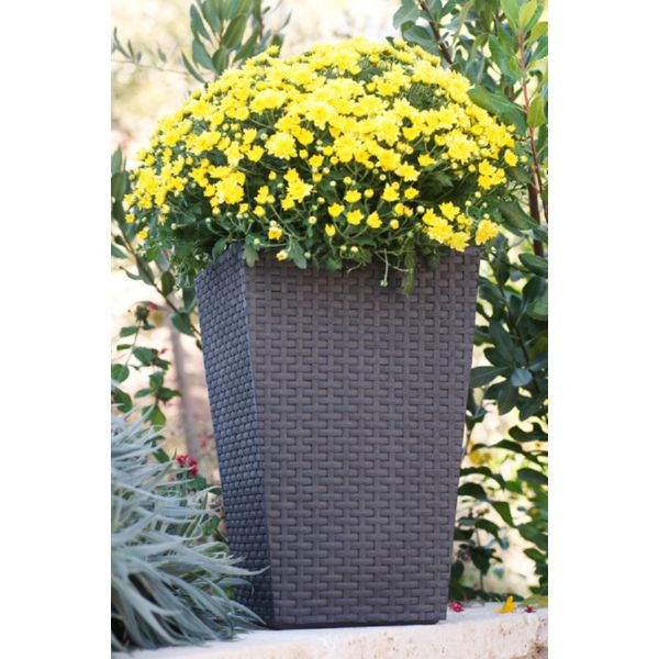 MACETERO RATAN 55 L 39X39X57