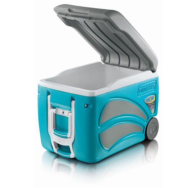 NEVERA RIGIDA C/RUEDAS ROLLER 45 L
